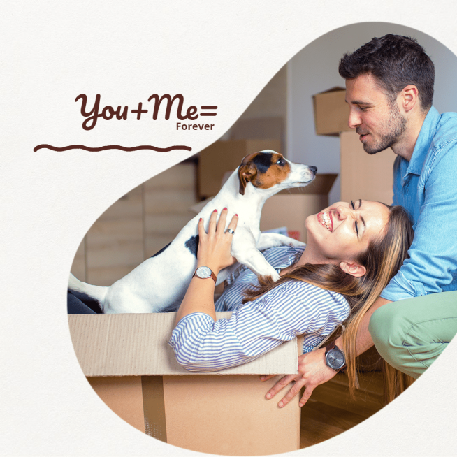 Cute Pet Simple Style Poster Ecommerce Product预览效果