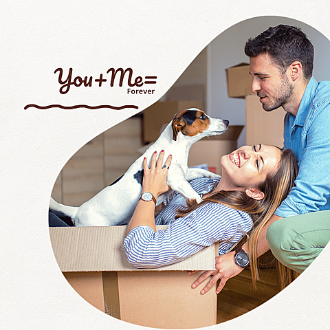 Cute Pet Simple Style Poster Ecommerce Product