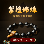 模板缩略图