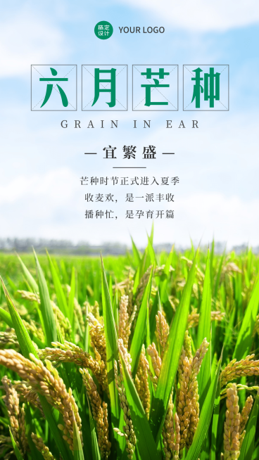 实景风6.5芒种节气祝福全屏祝福预览效果
