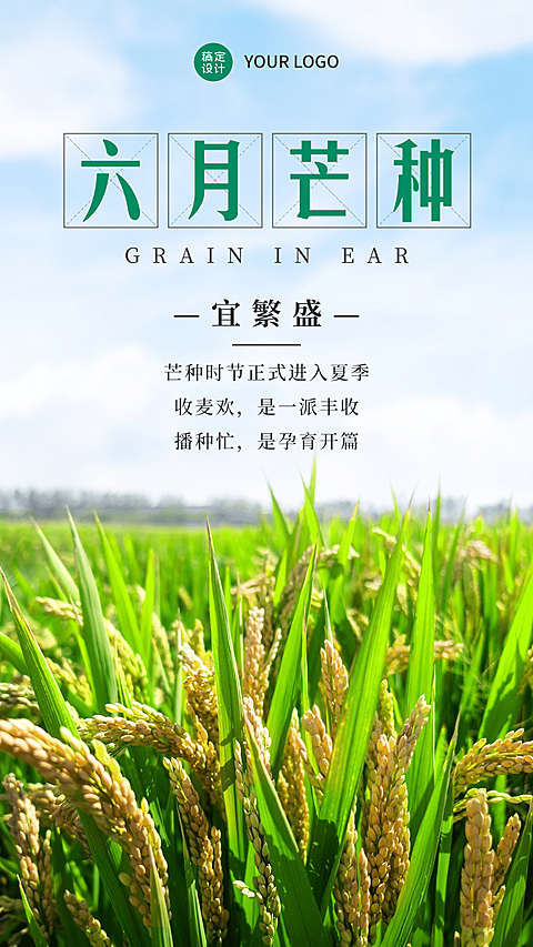 实景风6.5芒种节气祝福全屏祝福