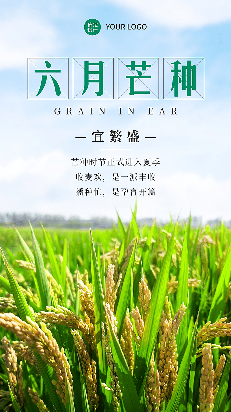 实景风6.5芒种节气祝福全屏祝福