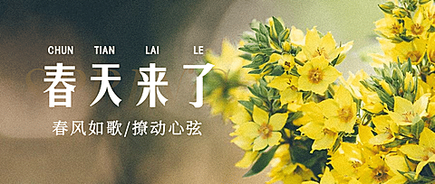 春天你好季节问候祝福公众号首图