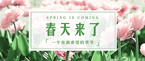 春天你好季节问候祝福公众号首图