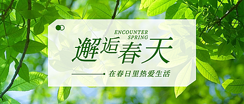 春天你好季节问候祝福公众号首图