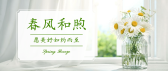 模板缩略图