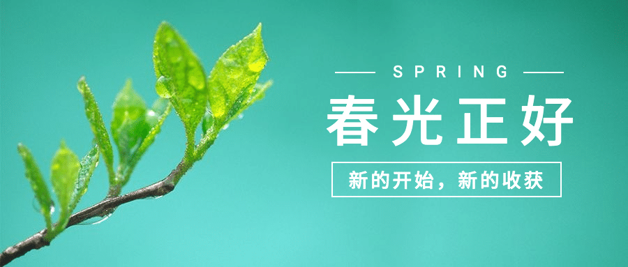 春天你好季节问候祝福公众号首图预览效果