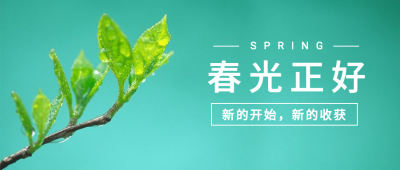 春天你好季节问候祝福公众号首图