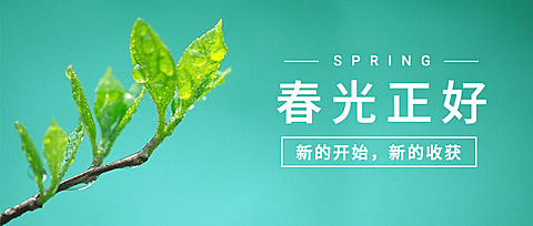 春天你好季节问候祝福公众号首图