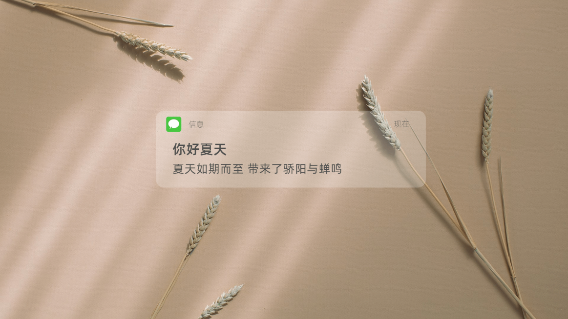 夏天你好祝福问候正能量电脑壁纸预览效果