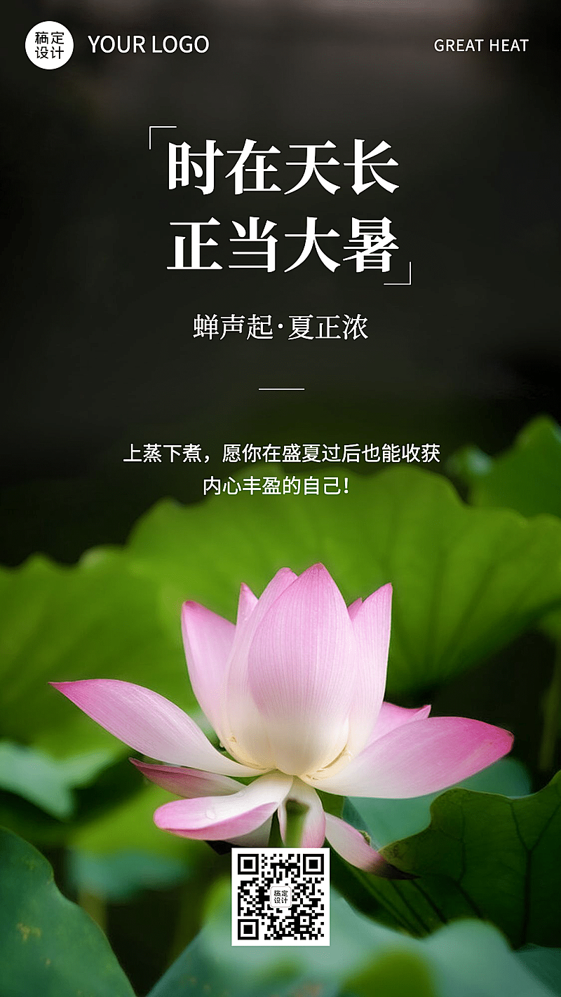 大暑实景风荷花全屏节气祝福