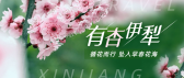 模板缩略图