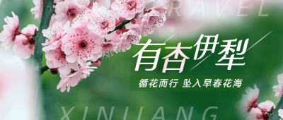 旅游出行线路营销实景公众号首图
