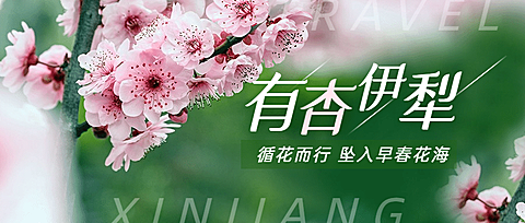 旅游出行线路营销实景公众号首图