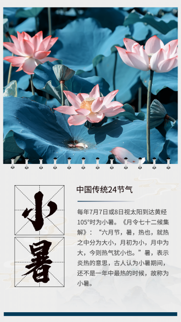小暑荷花实景风节气知识科普预览效果