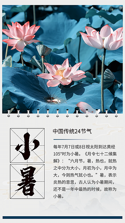 小暑荷花实景风节气知识科普
