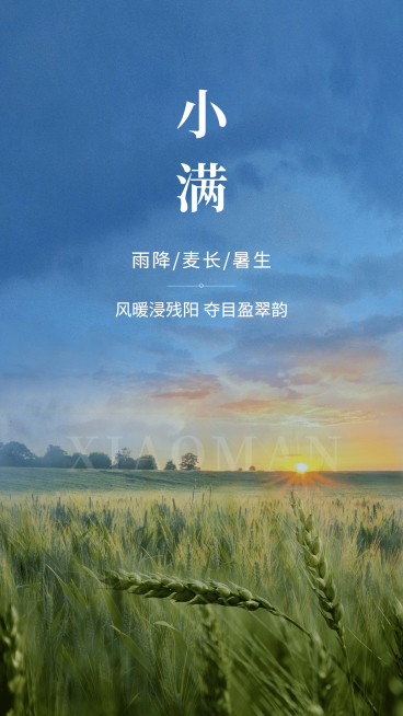 实景风小满全屏节气正能量祝福预览效果