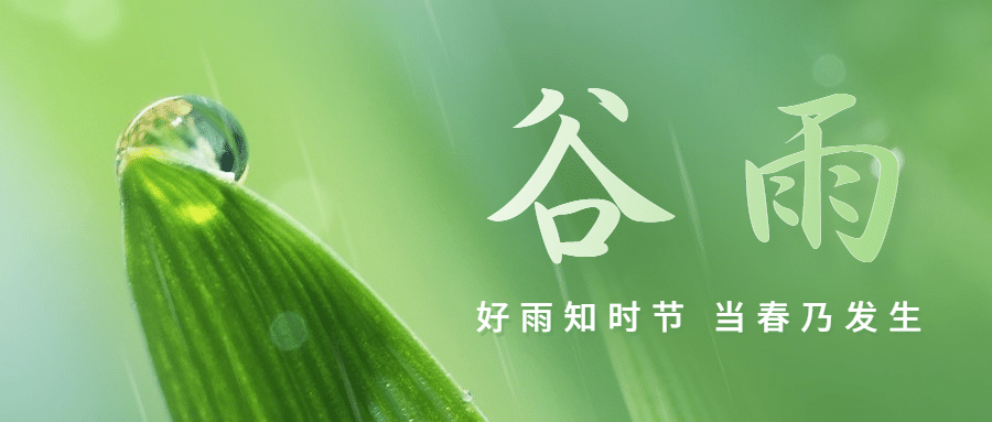 谷雨节气祝福春天实景公众号首图预览效果