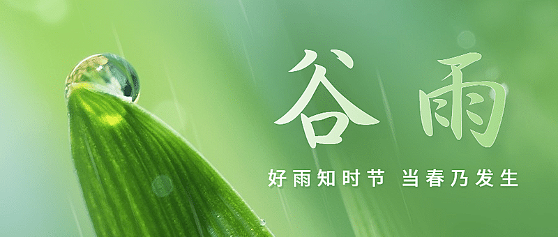 谷雨节气祝福春天实景公众号首图