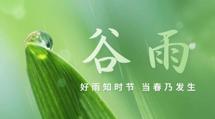 谷雨节气祝福春天实景横版海报预览效果