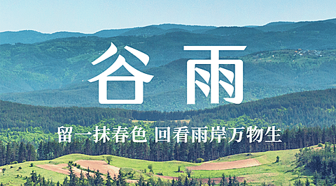 谷雨节气祝福春天实景横版海报