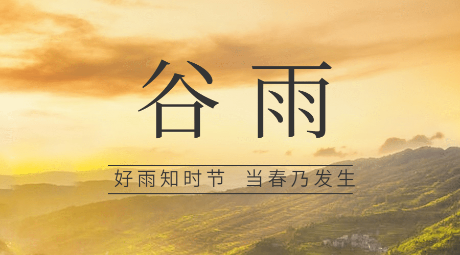 谷雨节气祝福春天实景横版海报预览效果