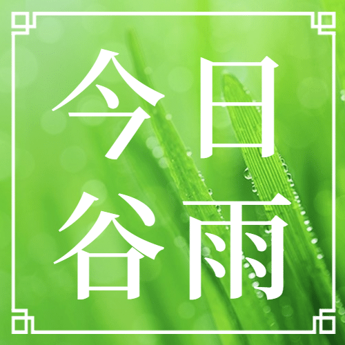 谷雨节气祝福春天实景公众号次图预览效果