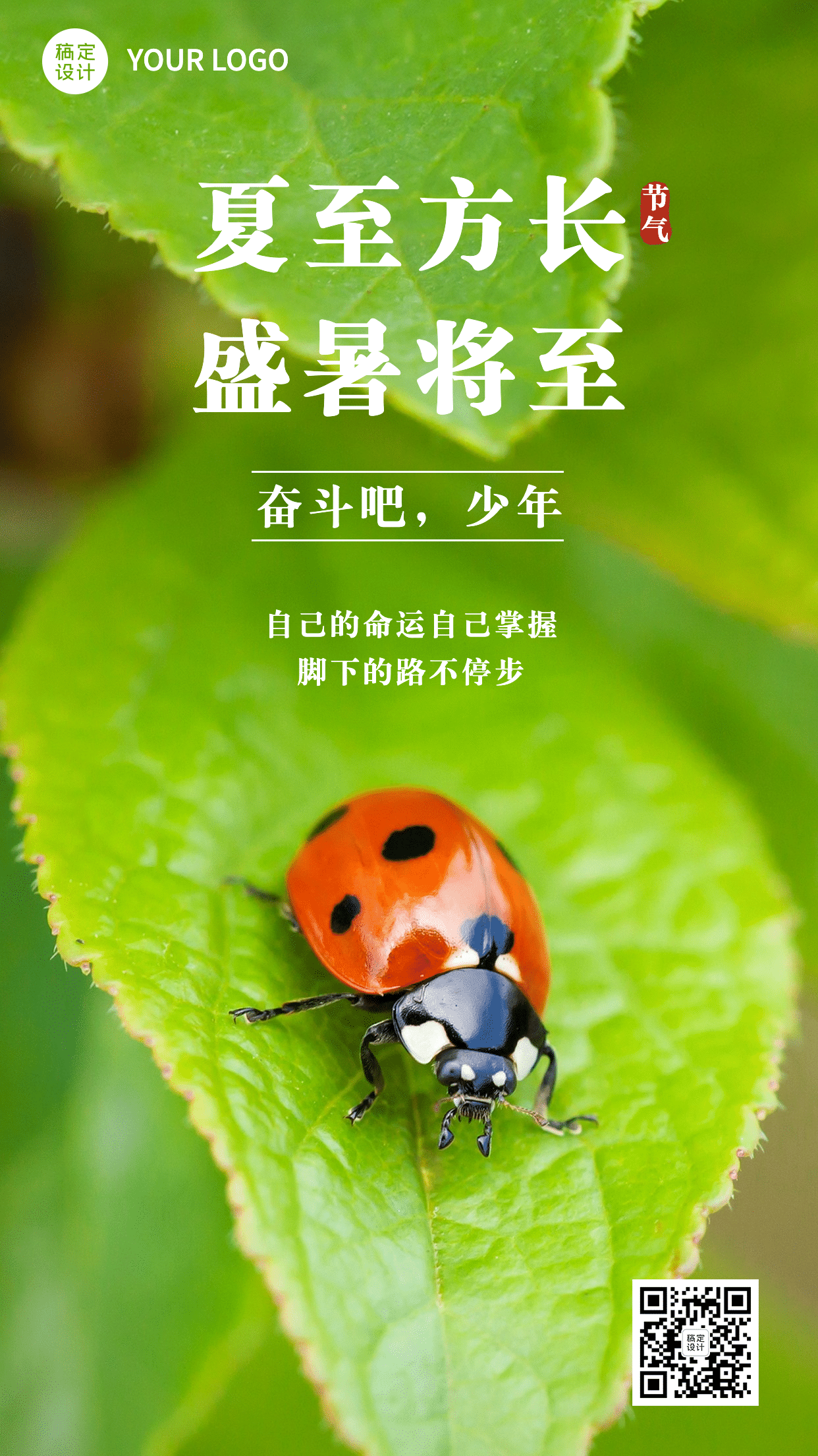 6.21夏至实景风七星瓢虫节气祝福预览效果