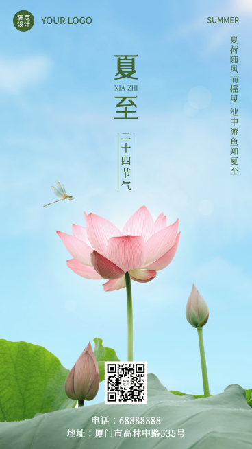 夏至节气祝福莲花实景手机海报预览效果