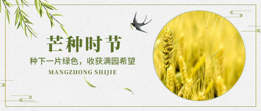 芒种节气祝福问候图框公众号首图预览效果
