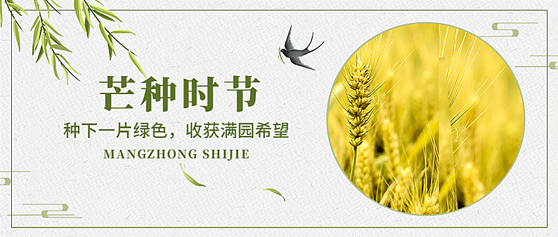 芒种节气祝福问候图框公众号首图