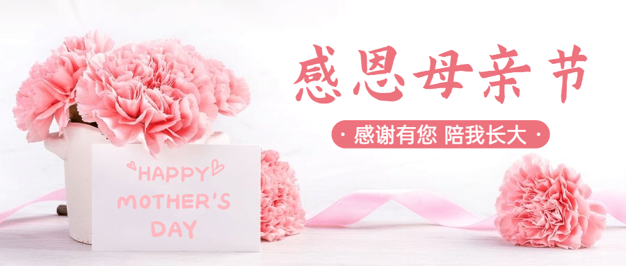 母亲节宣传首图预览效果