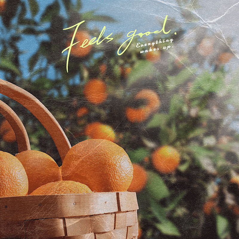 Fruit Parlor Mark Template