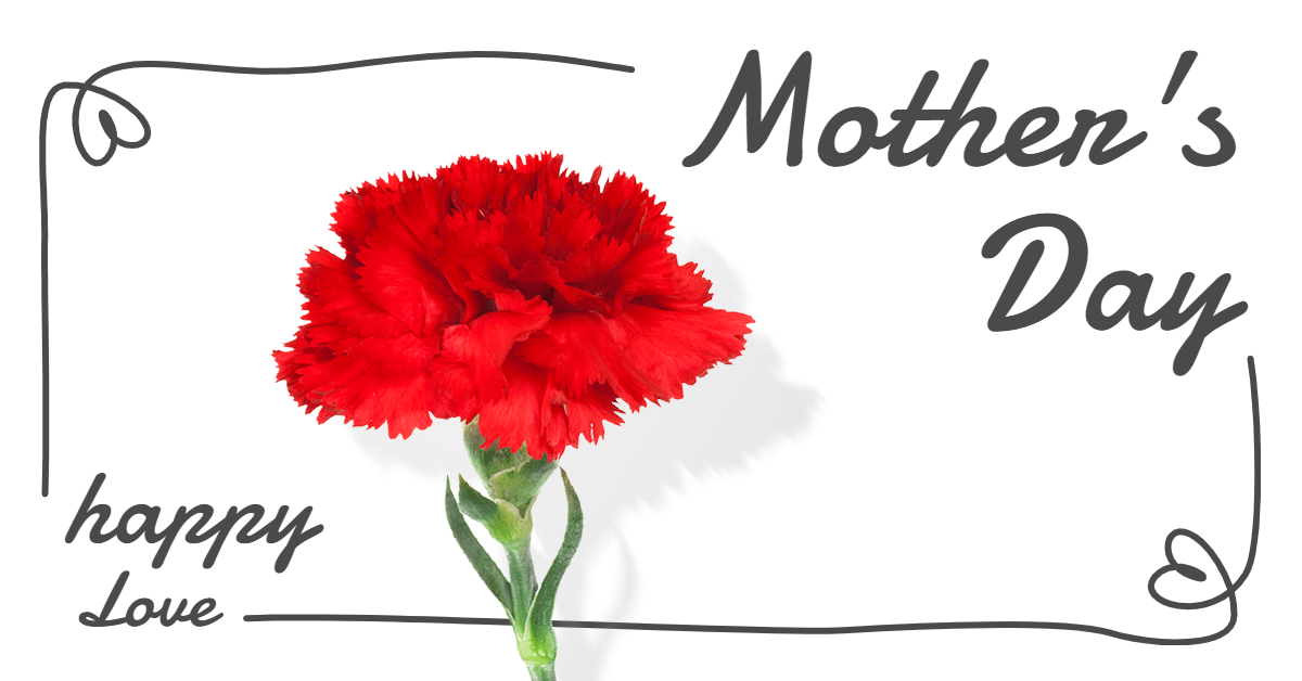 Minimalist Carnation Mother's Day Festival Marketing Ecommerce Banner预览效果