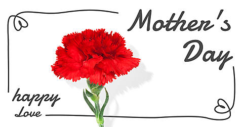 Minimalist Carnation Mother's Day Festival Marketing Ecommerce Banner
