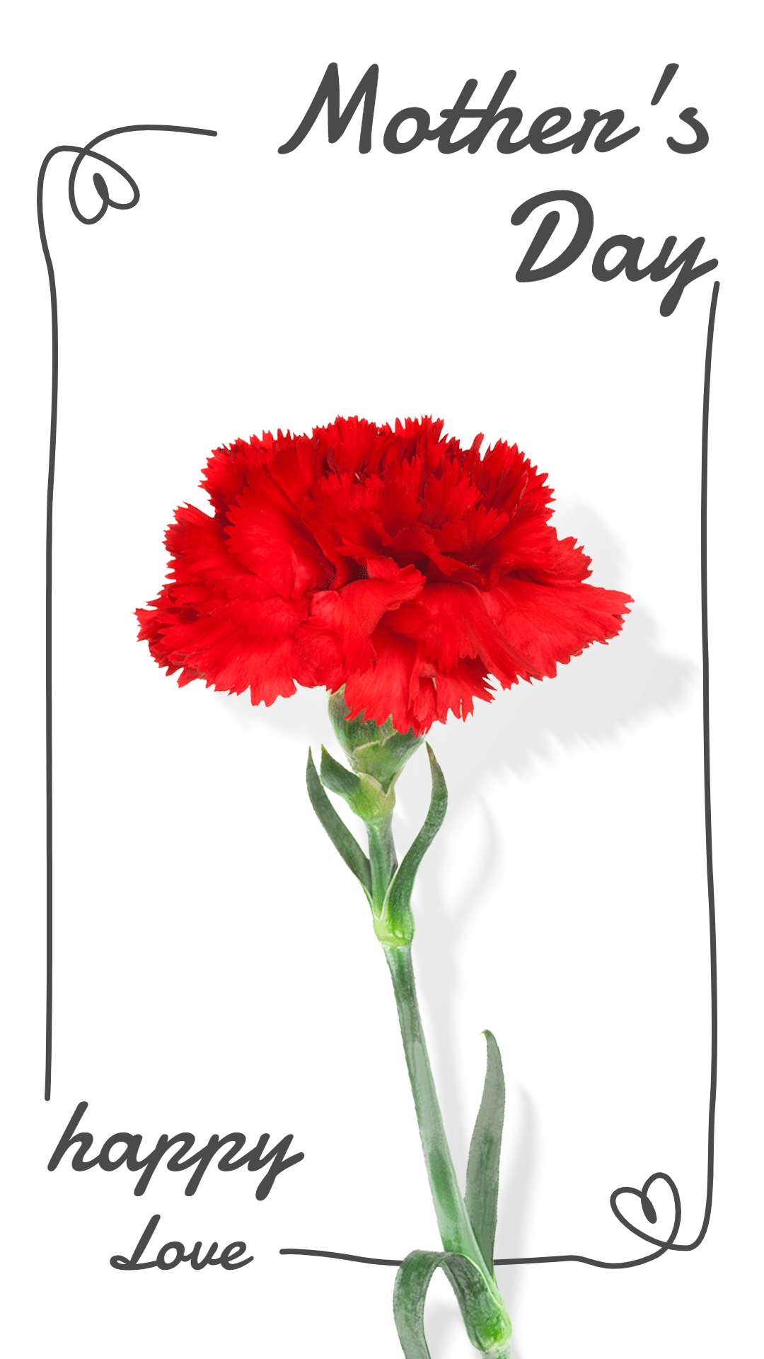 Creative Mother's Day Carnation Photo Ecommerce Story