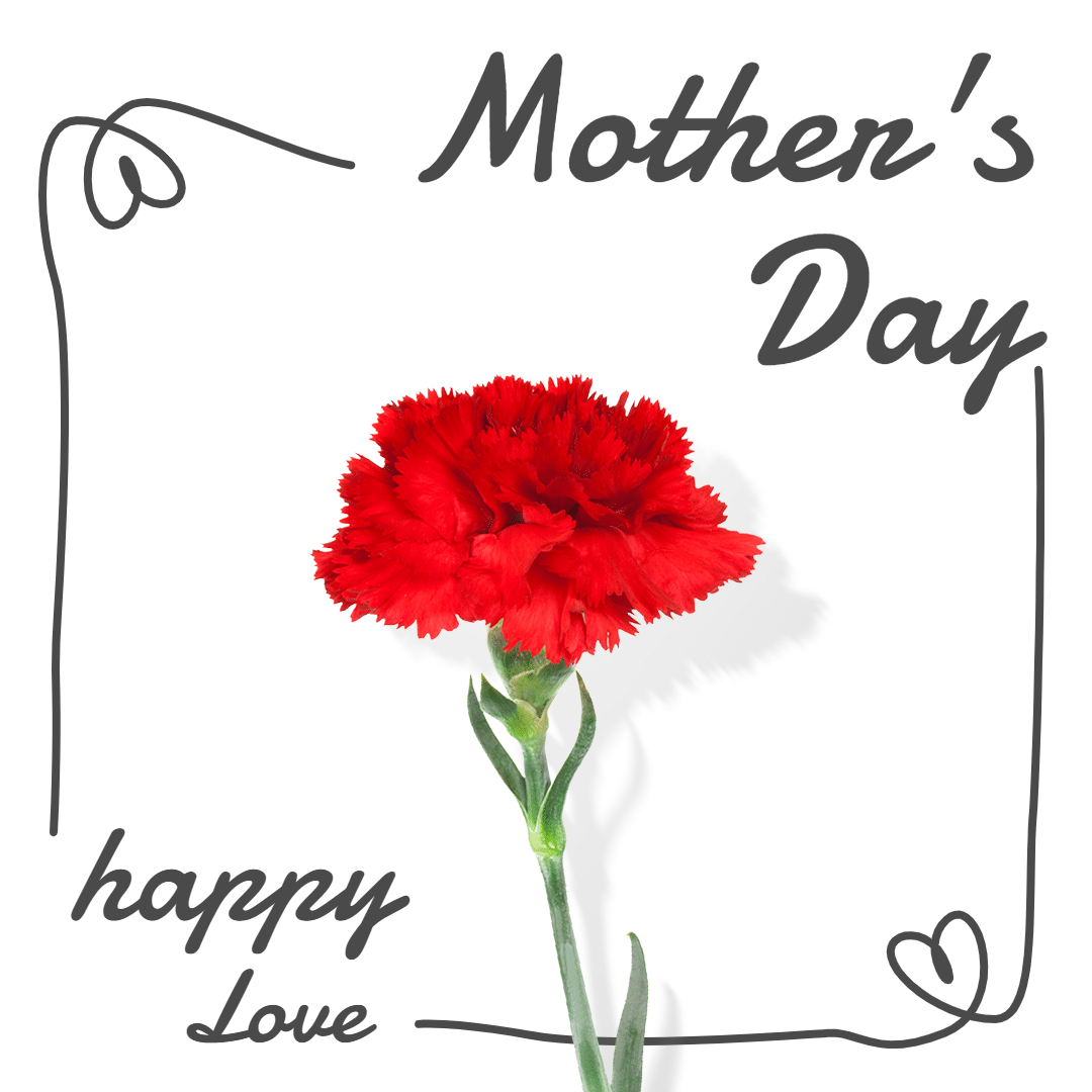 Mother's day ecommerce product image预览效果