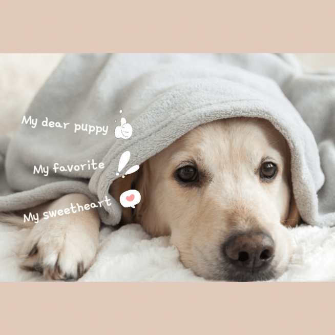 简约晒图晒照PLOG预览效果