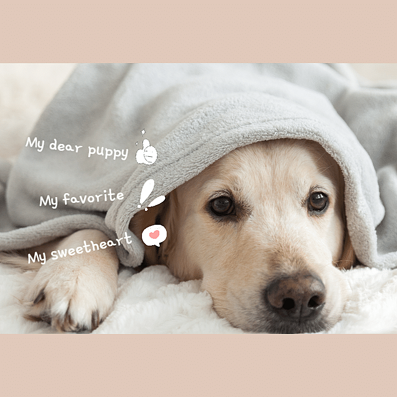 简约晒图晒照PLOG