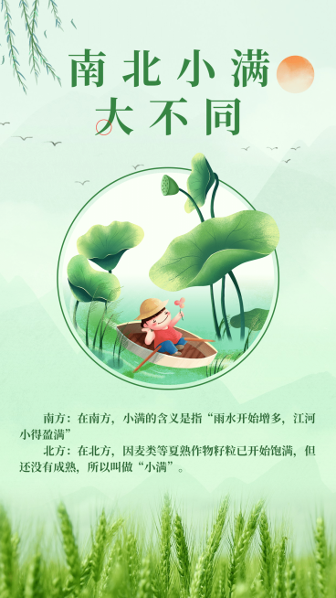 手绘小满节气南北不同知识科普预览效果