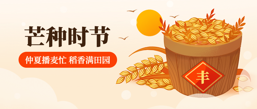 芒种节气问候稻穗丰收公众号首图预览效果