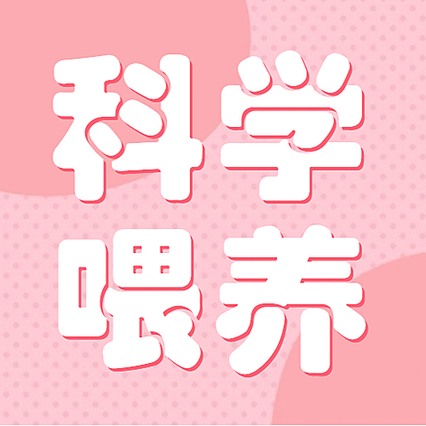 医疗保健养生科普简约公众号次图