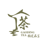 模板缩略图