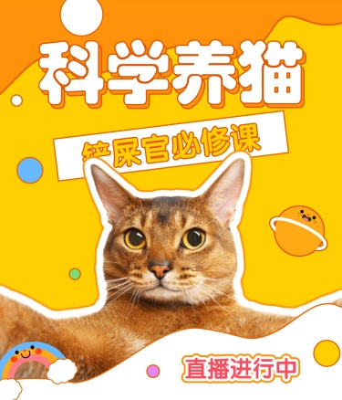 科学养猫宠物视频号直播封面