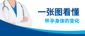 模板缩略图