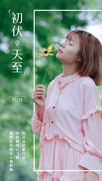 初伏天实景风清新节气问候末