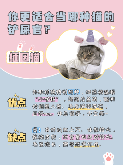 萌宠可爱知识科普小红书封面配图