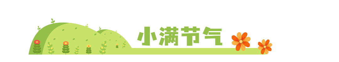 小满节气祝福夏天鲜花动态分割线预览效果