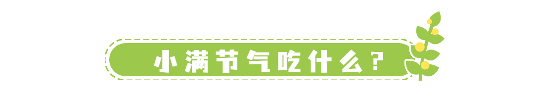 小满节气习俗夏天鲜花动态分割线预览效果