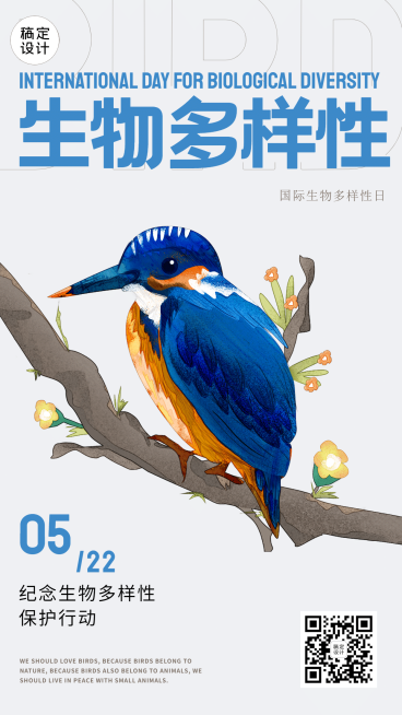 国际生物多样性日保护动物手机海报预览效果